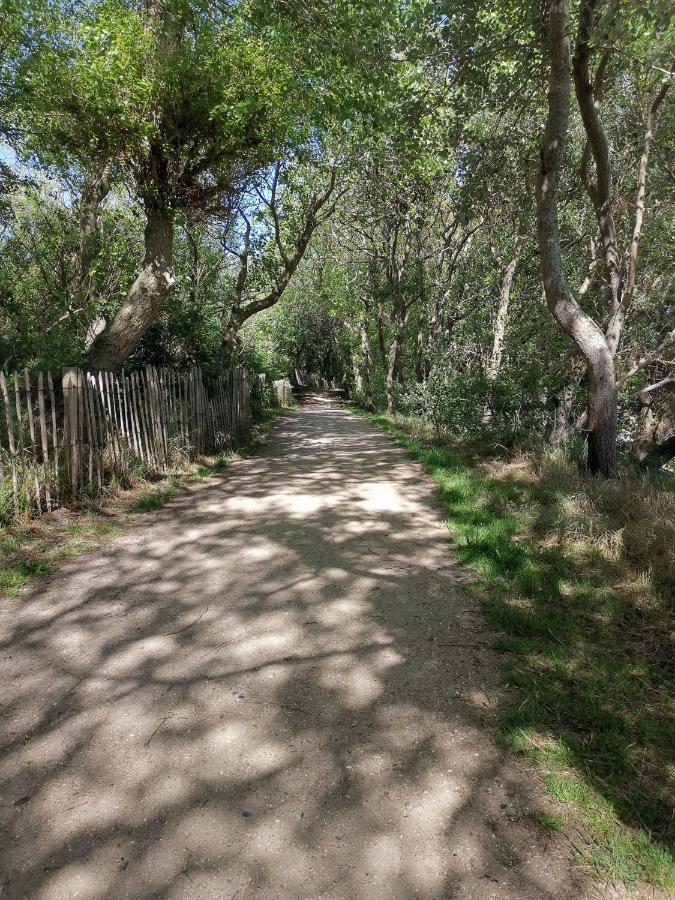 Griad In De Duinen De Haan Εξωτερικό φωτογραφία